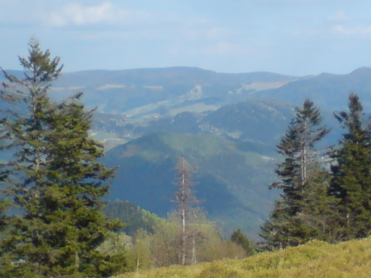Willa Pod Kasztanami Piwniczna-Zdroj Exteriér fotografie